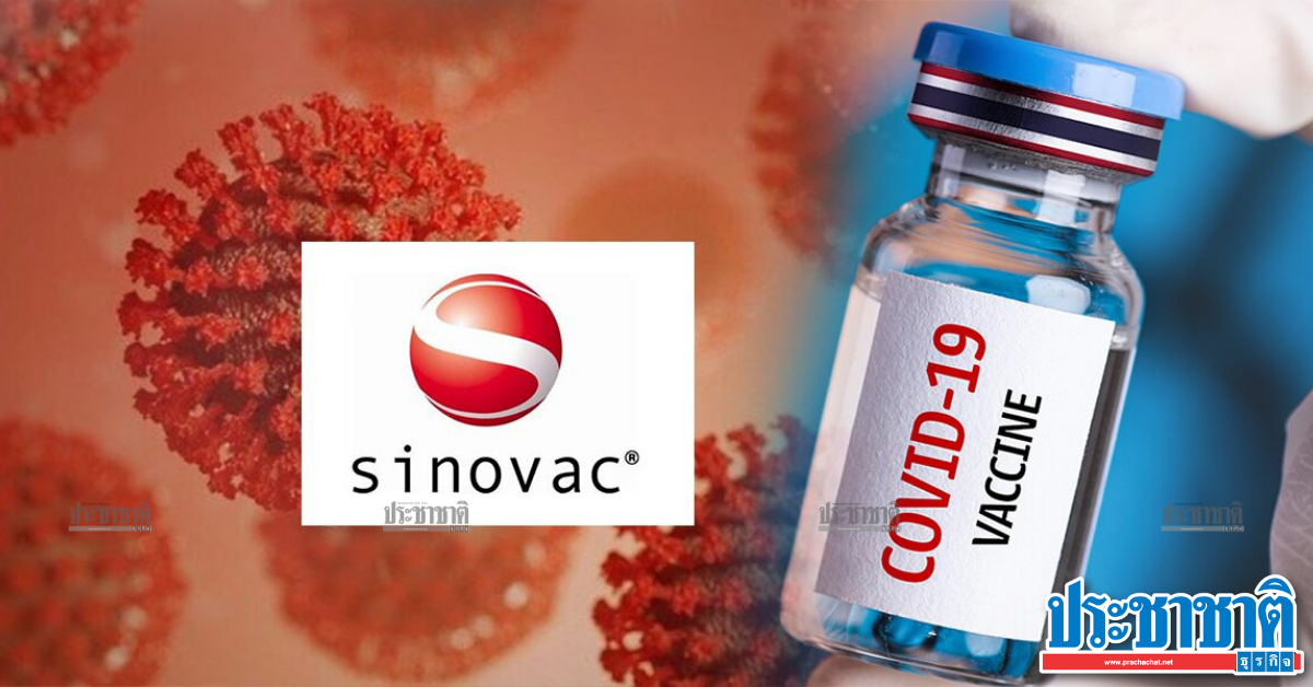 Know “Sinovac” vaccine against COVID  Coming to the first Thai