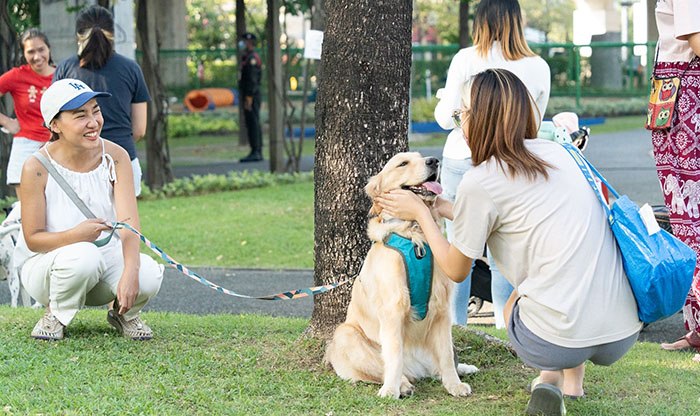 BMA Dog Park สวนสาธารณะสุนัขแห่งแรก กทม.
