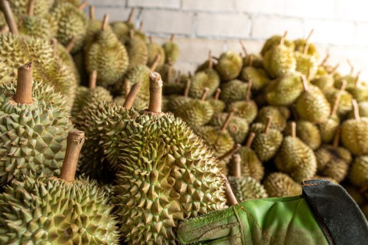 durian