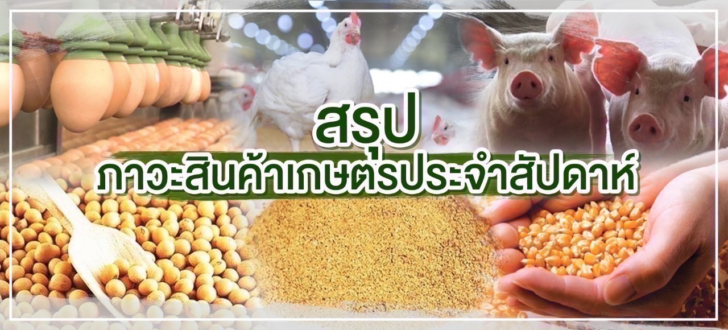 สรุปภาวะสินค้าเกษตรประจำสัปดาห์ วันที่ 2 - 6 กันยายน 2567